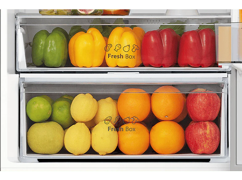 HISENSE Frigo-congélateur A (RB440N4AFA) - Image 6